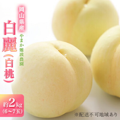 【ふるさと納税】桃 【 2025年 先行予約 】 岡山県産 白麗 （ 白桃 ） 約2kg（6～7玉） 白桃 岡山 はくとう フルーツ 果物 先行予約 数量限定 期間限定 里庄町 モモ もも 　お届け：2025年8月上旬～2025年8月中旬