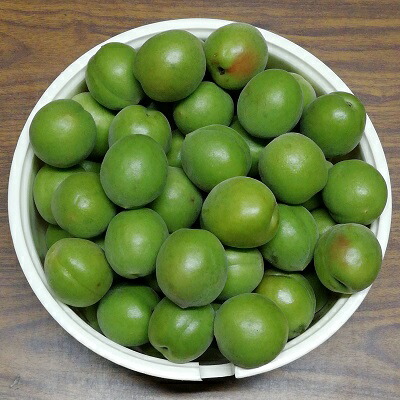 【ふるさと納税】仁科農園産 南高梅（青梅、秀、大）「里山グリーンエメラルド」5kg箱 梅 うめ ウメ エキス 梅酒 梅干し 果物詰合せ フルーツ 5kg 　お届け：2025年5月20日～2025年6月14日