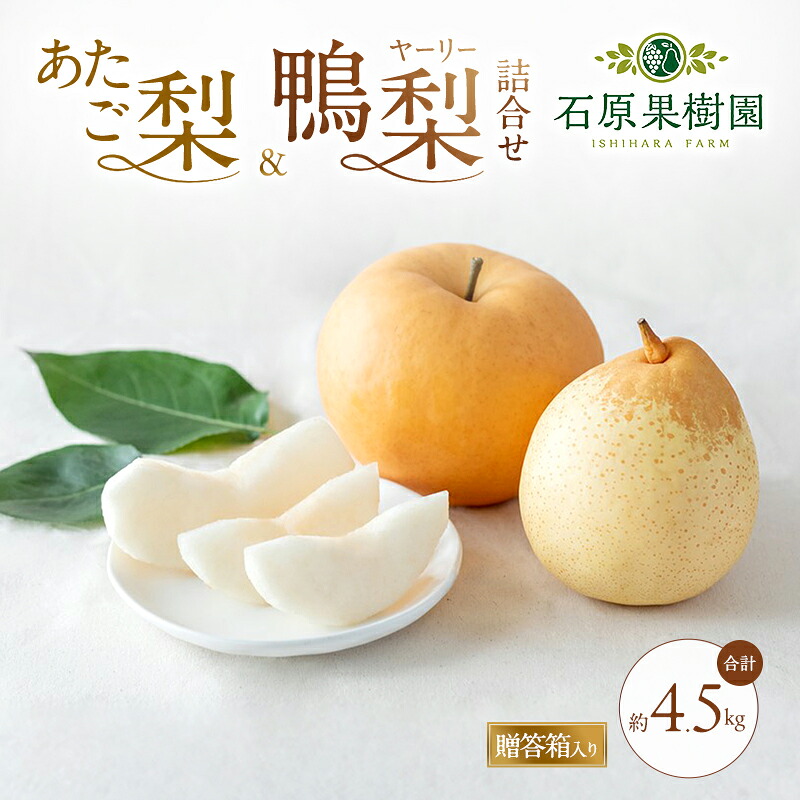 【ふるさと納税】梨 2026年 先行予約 あたご梨・鴨梨（ヤーリー）詰合せ 合計約4.5kg あたご2～3玉 鴨梨3～7玉 贈答箱【11月下旬～12月中旬頃発送】 ナシ なし 岡山県産 国産 フルーツ 果物 ギフト 石原果樹園 　お届け：2026年11月15日～2026年12月20日｜岡山県里庄町