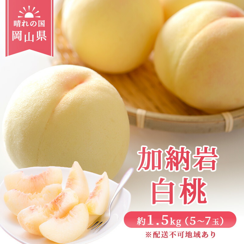 【ふるさと納税】【2025年先行予約】 桃 岡山県産 加納岩 白桃 約1.5kg（5～7玉） 《2025年6月下旬-7月上旬頃出荷》 白桃 岡山 はくとう スイーツ フルーツ 果物 先行予約 数量限定 期間限定 岡山 里庄町 モモ もも 桃 　お届け：2025年6月下旬～2025年7月上旬