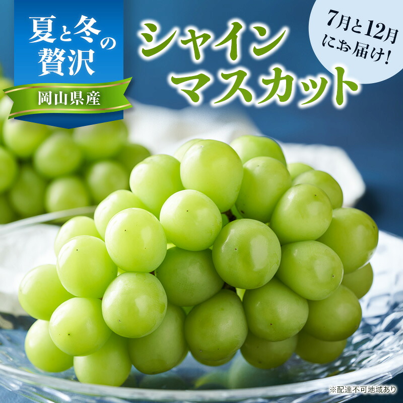 【ふるさと納税】【2026年先行予約】 ぶどう 夏と冬の 贅沢 シャインマスカット 7月と12月に分けて お届け ! 葡萄 ブドウ 岡山県産 フルーツ 果物 数量限定 期間限定 岡山 里庄町 お届け:1回目 2026年7月10日~7月30日 2回目 2026年11月20日~12月12日