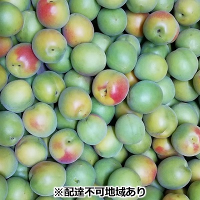 【ふるさと納税】仁科農園産 南高梅（青梅 秀）「里山の梅夏宝玉」 4kg箱 梅 うめ ウメ エキス 梅酒 梅干し 果物 大きく 肉厚 梅ジャム　お届け：2025年5月20日～2025年6月14日