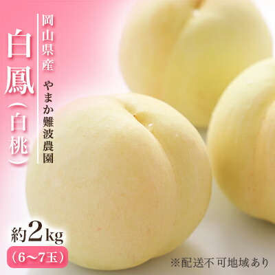 【ふるさと納税】桃 【2025年先行予約】 岡山県産 白鳳 （ 白桃 ） 約2kg（6～7玉） 白桃 岡山 はくとう フルーツ 果物 先行予約 数量限定 期間限定 里庄町 モモ もも 　お届け：2025年7月上旬～2025年7月中旬