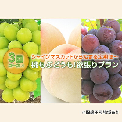 【ふるさと納税】【 2025年 先行予約 】ぶどう 桃 シャインマスカット から始まる 定期便 ～ 桃もぶどうも！ 欲張り プラン 3回 コース -1 ( シャインマスカット ・ 白桃 ・ ピオーネ )《2025年7月-9月出荷》 岡山県産　お届け：2025年7月中旬～2025年9月中旬