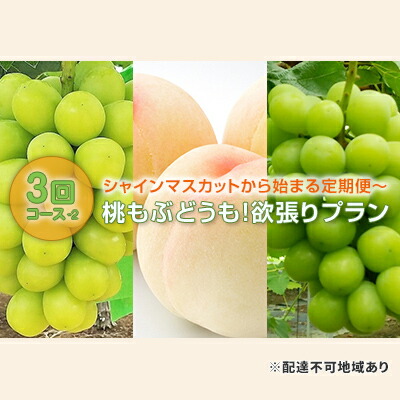 【ふるさと納税】【 2025年 先行予約 】ぶどう 桃 シャインマスカット から始まる 定期便 ～ 桃もぶどうも！ 欲張り プラン 3回 コース -2  ( シャインマスカット ・ 白桃 ・シャインマスカット )《2025年7月-9月出荷》 岡山県産 　お届け：2025年7月中旬～9月下旬
