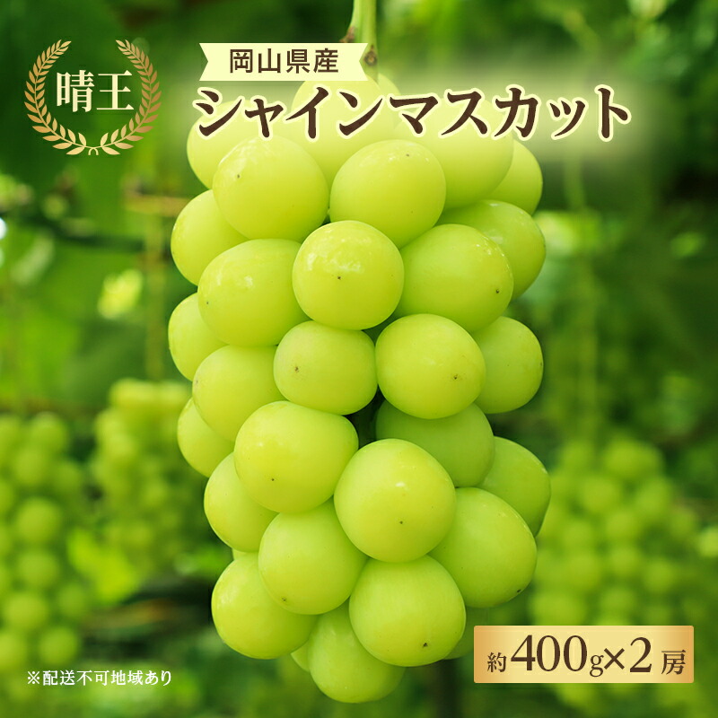 【ふるさと納税】ぶどう 2025年 先行予約 シャイン マスカット 晴王 約400g×2房 8月下旬～11月下旬発送 ブドウ 葡萄 岡山県産 国産 フルーツ 果物 ギフト 　お届け：2025年8月下旬～2025年11月下旬