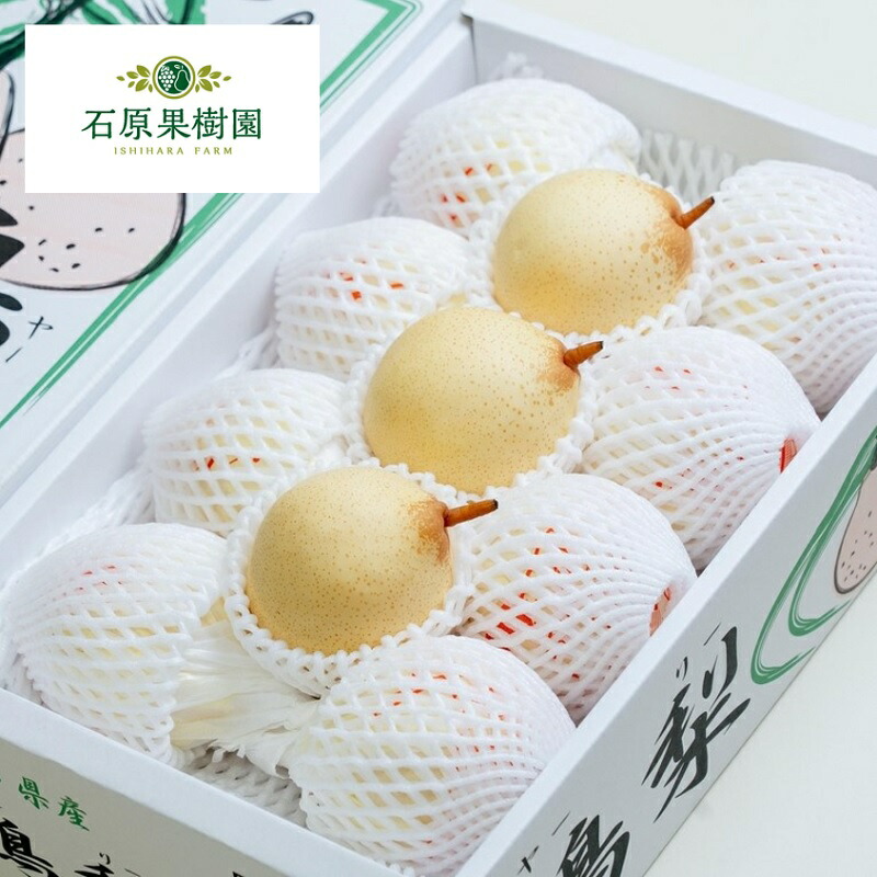 【ふるさと納税】梨 2025年 先行予約 ご家庭用 鴨梨（ヤーリー） 6～13玉入り 約4kg 化粧箱【11月下旬～12月中旬頃発送】 ナシ なし 岡山県産 国産 フルーツ 果物 石原果樹園家庭用 　お届け：2025年11月15日～2025年12月20日