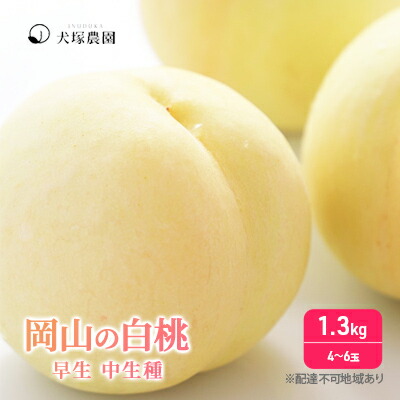 【ふるさと納税】桃 2025年 先行予約 ご家庭用 訳あり 1.3kg 4～6玉 もも モモ 国産 岡山 白桃 はくとう スイーツ フルーツ 果物 デザート 旬 岡山県 里庄町 送料無料 早生 中生種 犬塚農園 　お届け：2025年6月下旬～2025年8月上旬
