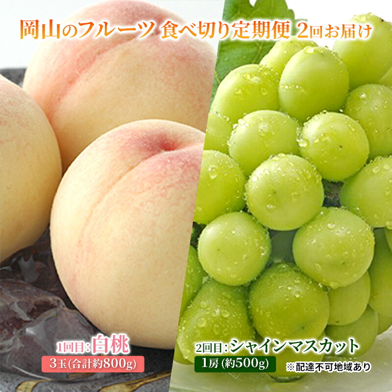 【ふるさと納税】フルーツ 2025年 岡山のフルーツ 食べ切り 定期便 白桃 3玉 合計約800g／シャイン マスカット 1房 約500g もも 葡萄 ブドウ 岡山県産 フルーツ シャインマスカット 桃 果物 旬 定期便 　お届け：2025年7月上旬～2025年9月下旬
