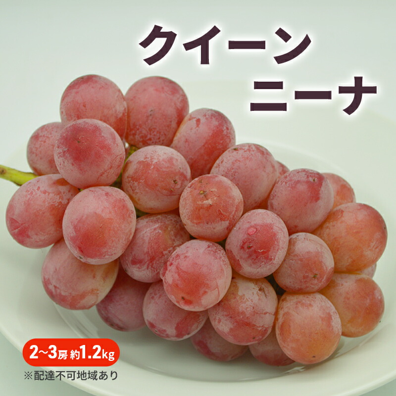【ふるさと納税】ぶどう 2025年 先行予約 クイーンニーナ 2～3房 約1.2kg ブドウ 葡萄 岡山 国産 フルーツ 果物　お届け：2025年9月1日～2025年10月30日