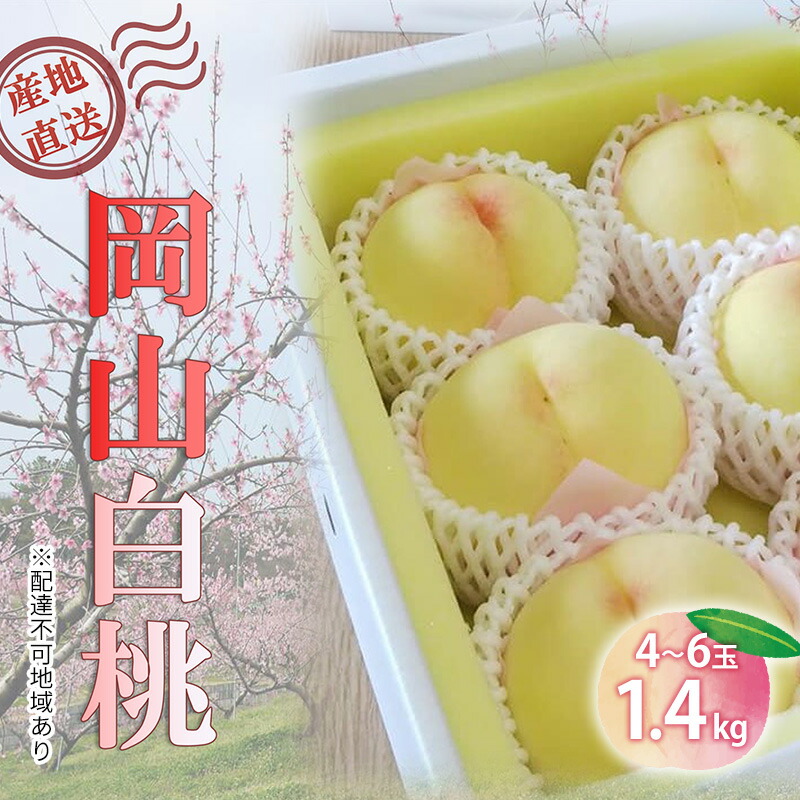 【ふるさと納税】【桃 2026年 先行予約】ご家庭用 岡山白桃 約1.4kg(4~6玉) もも モモ 岡山県 国産 フルーツ 果物 お届け:2026年6月中旬~2026年8月下旬|岡山県里庄町