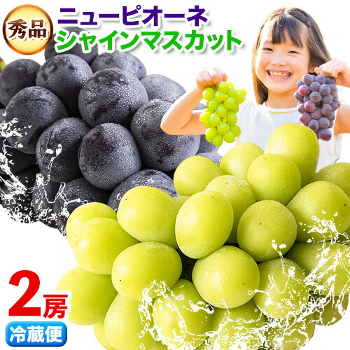 【ふるさと納税】岡山県産 秀品 シャインマスカット ニューピオーネ 詰め合わせ 約1.2kg 2房 葡萄 果物 厳選出荷 スイーツ フルーツ デザート 岡山県矢掛町《9月中旬～11月上旬頃に出荷予定(土日祝除く)》数量限定 秋旬 種なしぶどう