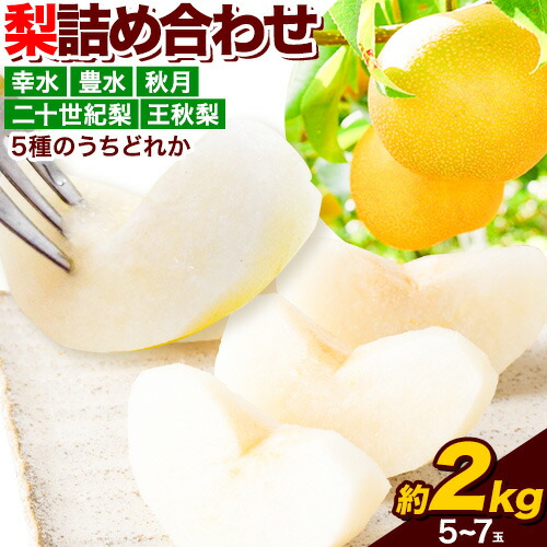 【ふるさと納税】梨 幸水 豊水 約2kg 5~7玉 青空市きらり《8月中旬から12月中旬頃に順次出荷》岡山県 矢掛町 なし 幸水梨 豊水梨 あきづき 二十世紀梨 王秋梨 お中元 送料無料