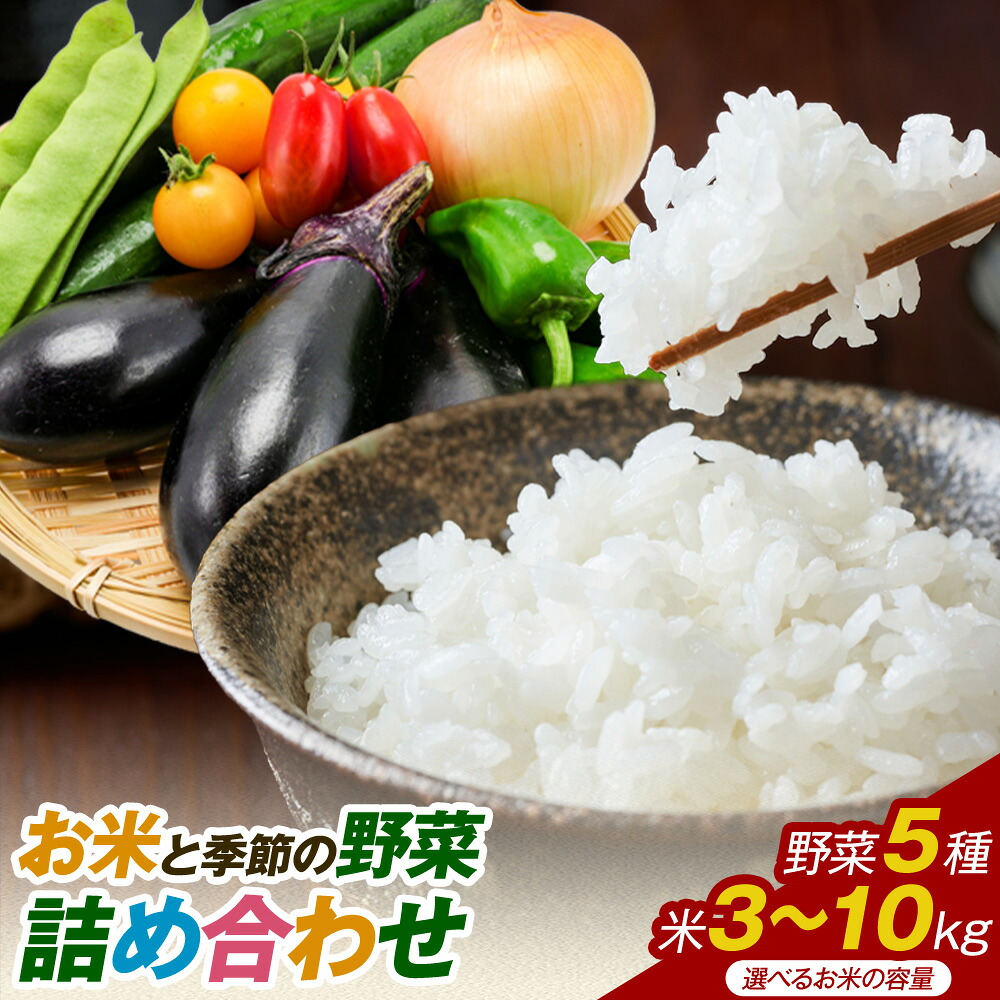 【ふるさと納税】 米 野菜 詰め合わせ 季節の野菜 きぬむすめ ひのひかり おまかせ 選べる内容量 米3kg+野菜5種 米5kg+野菜5種 米10kg+野菜5種 ありがとう園《30日以内に出荷予定(土日祝除く)》岡山県 矢掛町 お米 白米 旬の野菜|岡山県矢掛町