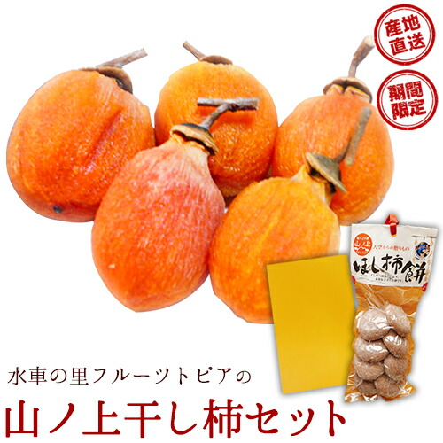 【ふるさと納税】 【先行予約】 山ノ上 干し柿 セット《12月上旬-12月末頃出荷》水車の里フルーツトピア岡山県矢掛町産 柿 果物 フルーツ 干柿餅