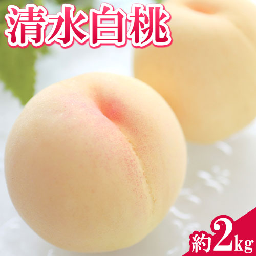 【ふるさと納税】 【先行予約】 清水白桃 約2kg 水車の里フルーツトピア《7月中旬-8月上旬頃出荷》 岡山 白桃 岡山県 矢掛町 桃 モモ 果物 スイーツ フルーツ デザート