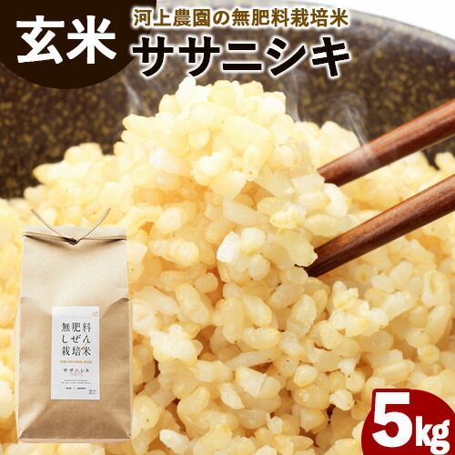 【ふるさと納税】令和6年産  無肥料栽培ササニシキ 玄米 5kg(5kg×1袋) 河上農園 岡山県矢掛町《30日以内に出荷予定(土日祝除く)》 農薬・化学肥料不使用 お米 コメ こめ