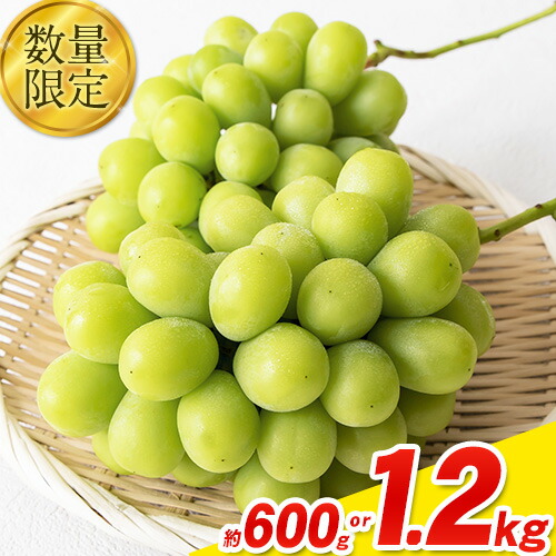 【ふるさと納税】秀品 シャインマスカット 岡山 秋旬 数量限定 大粒 約1.2kg or 600g 2房 1房 産地直送 葡萄 果物 秀品 スイーツ フルーツ デザート 岡山県 矢掛町 簡易包装 《9月中旬～11月上旬頃に出荷予定(土日祝除く)》