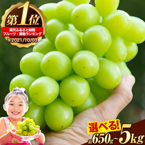 【ふるさと納税】 厳選 シャインマスカット 約650g～約5kgまで選べる内容量 《9月上旬-11月中旬頃出荷》 シャインマスカット 岡山 マスカット 先行予約 予約 期間限定 数量限定 レビュー高評価 ぶどう 定期便 ランキング 1位 フルーツ 果物 矢掛町 晴王 ブドウ 2kg シャイン