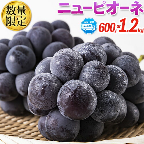 【ふるさと納税】岡山県産 ニューピオーネ 約1.2kg or 約600g 2房 1房 葡萄 果物 秀品 スイーツ フルーツ デザート 秋旬 岡山県矢掛町《9月中旬～11月上旬頃に出荷予定(土日祝除く)》
