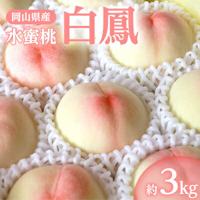【ふるさと納税】岡山県産「白鳳(水蜜桃)」約3kg|7月上旬頃～順次発送【配送不可地域：離島】【1488991】