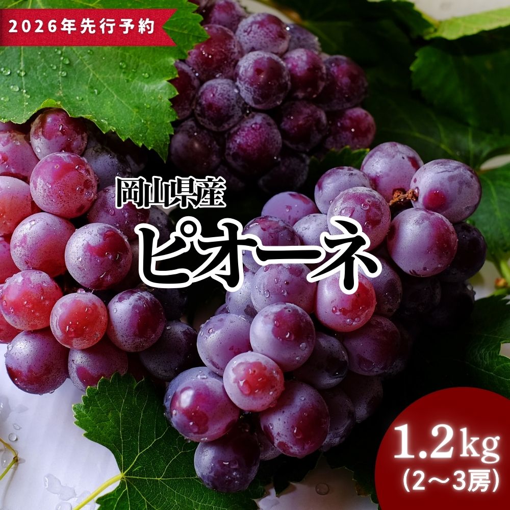 ぶどう 夢のくちどけ ぶどう糖 18粒 : ケンコージョイ - 通販 - Yahoo