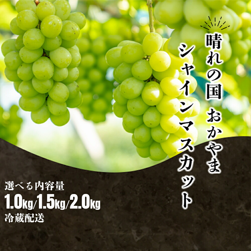 先行予約 2025年9月上旬発送〜】岡山県産シャインマスカット 1.5kg( 先行予約 2025年9月上旬発送〜】岡山県産シャインマスカット 1.5kg(