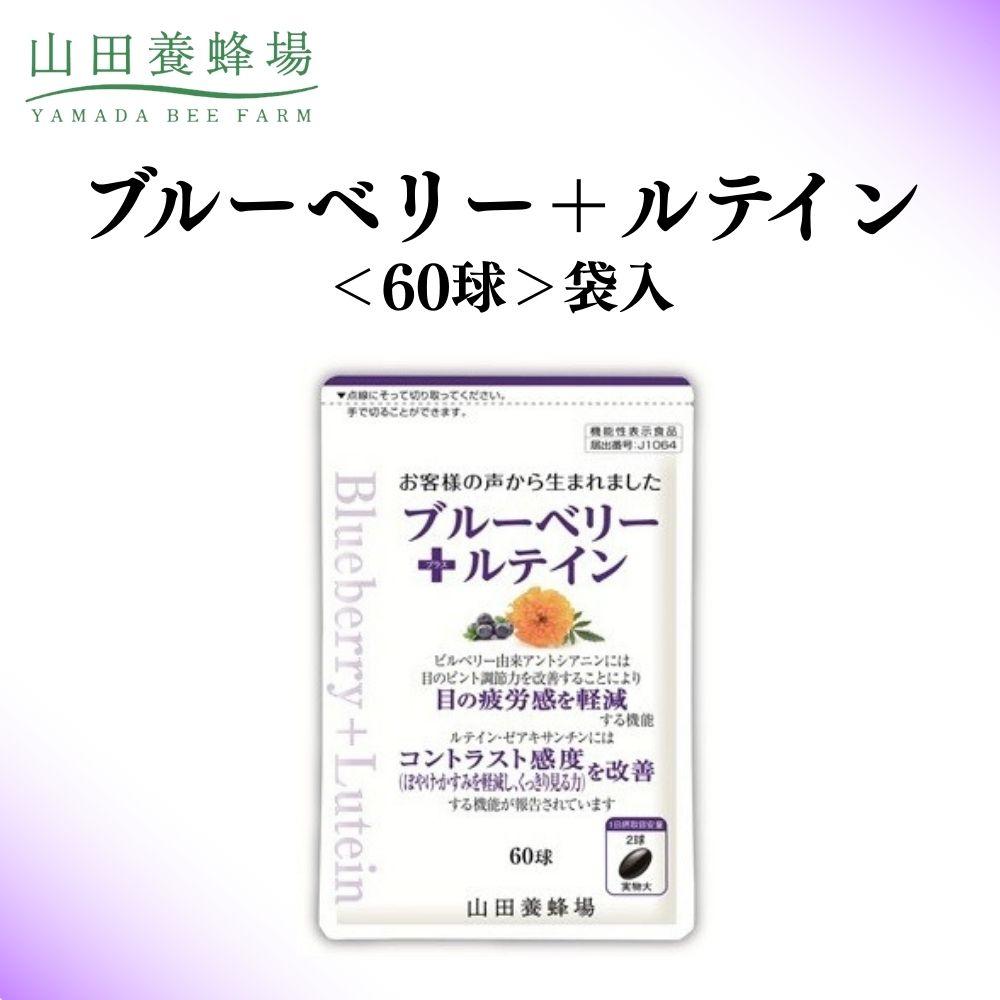 【ふるさと納税】ブルーベリー+ルテイン 60球 袋入 【006-a125】