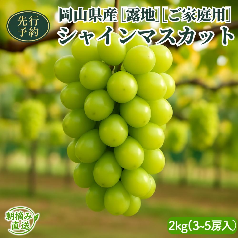 【ふるさと納税】【2026年先行予約】［露地］岡山県産シャインマスカット 2kg （３～５房入）ご家庭用|シャインマスカット ぶどう フルーツ 果物 岡山県 鏡野町