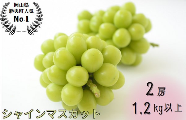 【ふるさと納税】 岡山県産 ぶどう シャインマスカット 1.2kg以上 (2房) ＜9月中旬から10月中旬発送＞ _A11