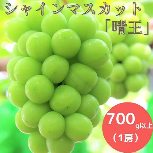【ふるさと納税】 岡山県産 ぶどう シャインマスカット 700g以上 (1房) ＜9月中旬から10月中旬発送＞ _A5