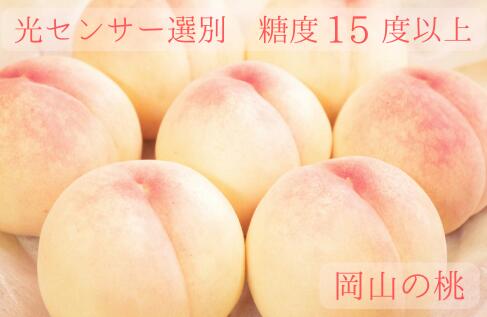 【ふるさと納税】 樹熟し 白桃 2kg 糖度15度以上 【極甘】 ＜8月上旬頃から8月下旬頃発送＞ _S117