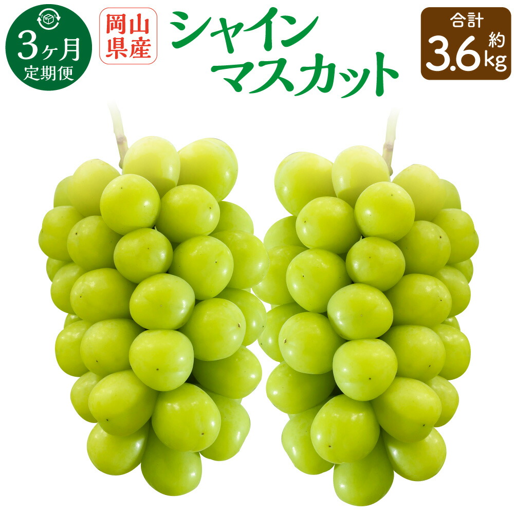 【ふるさと納税】【3回定期便】岡山県産 シャインマスカット 晴王 計約3.6kg 2房（1房600g以上）×3回 【2025年8月下旬発送開始】 フルーツ 果物 くだもの 定期便 3回 ぶどう 葡萄 マスカット 岡山県 奈義町 送料無料