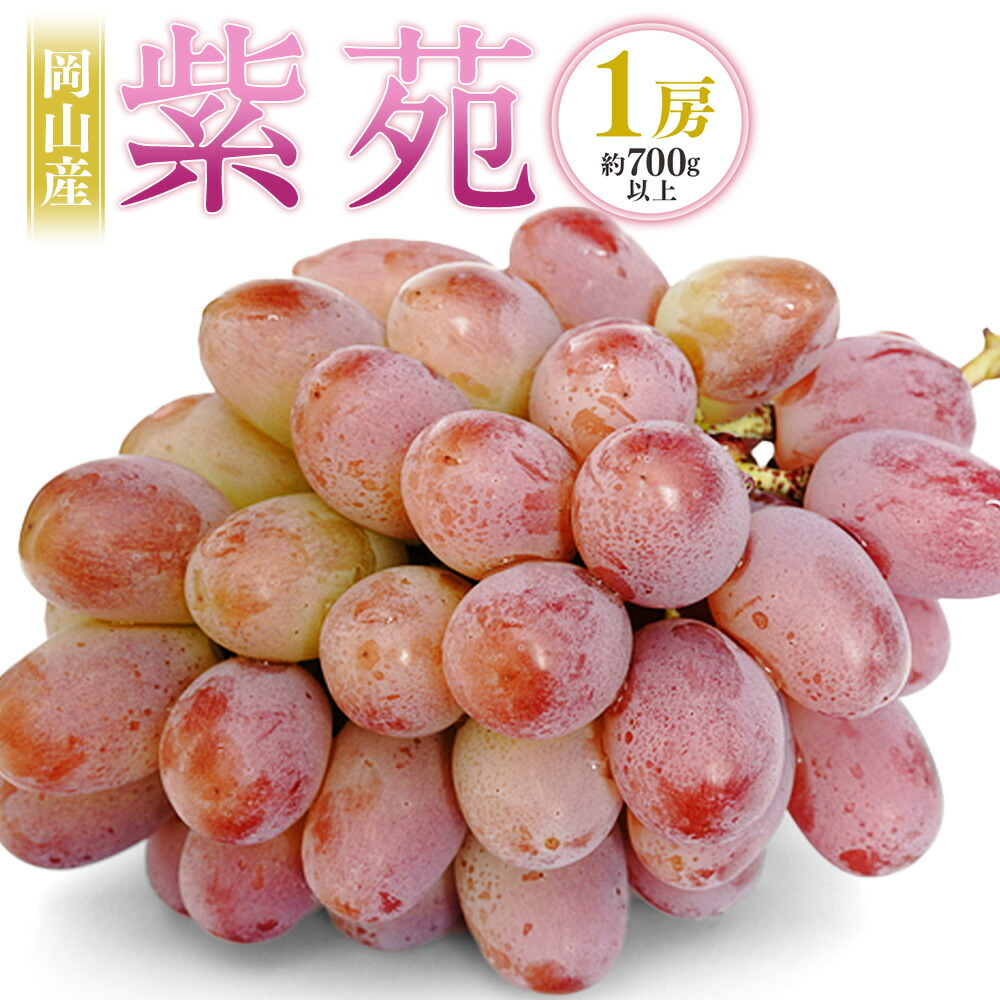 【ふるさと納税】岡山産 紫苑 1房（700g以上） 化粧箱入り ぶどう ブドウ 葡萄 果物 くだもの フルーツ 種なし 高糖度 冷蔵 お取り寄せ 国産 岡山県 奈義町 送料無料 【2026年10月下旬～11月下旬迄発送予定】｜岡山県奈義町