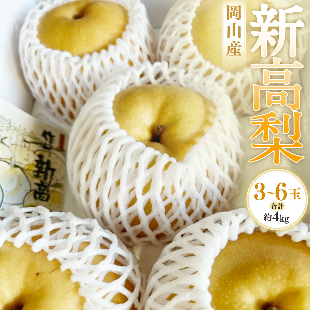 【ふるさと納税】岡山産 新高梨 3-6玉（約4kg） 化粧箱入り ナシ 梨 果物 くだもの フルーツ 大玉 お取り寄せ 国産 岡山県 奈義町 送料無料 【2025年9月下旬～11月上旬迄発送予定】
