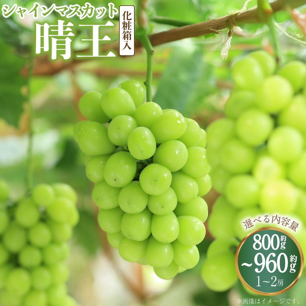 【ふるさと納税】【選べる容量】シャインマスカット 晴王 3～5房（約2kg） / 2房（1房480g以上） / 1房（800g以上） 計800g～960g以上 化粧箱入り 【2026年8月下旬～11月上旬迄発送予定】 ぶどう マスカット 種なし 果物 フルーツ 冷蔵 国産 岡山県 奈義町 送料無料｜岡山県奈義町
