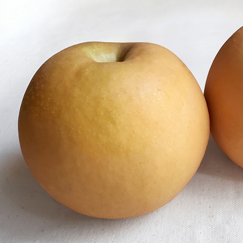 【ふるさと納税】【選べる容量】あたご梨 2玉 約1.8kg または 3～6玉 約4kg 【2025年11月下旬～12月下旬迄発送予定】 フルーツ 果物 くだもの 梨 ナシ なし 国産 お取り寄せ 岡山県 奈義町 送料無料