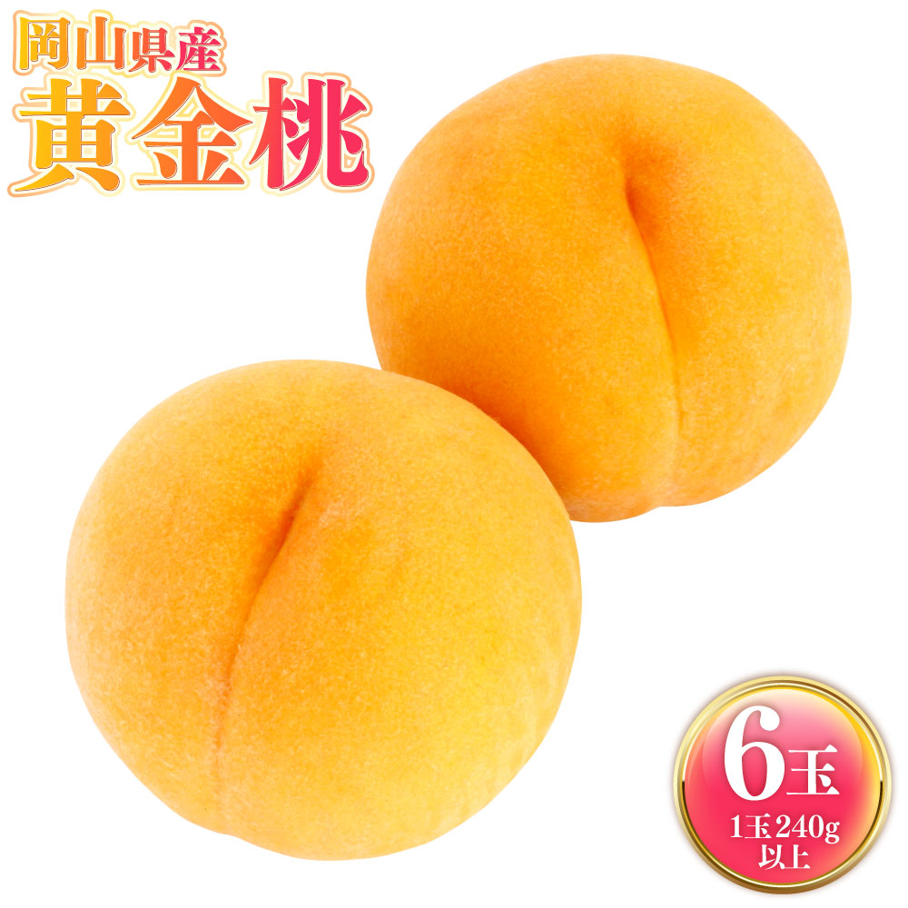 【ふるさと納税】岡山県産 黄金桃 6玉（1玉240g以上） 計1,440g以上 桃 もも モモ フルーツ くだもの 果物 果実 デザート 冷蔵 岡山県産 国産 岡山県 奈義町 送料無料 【2026年9月上旬～9月下旬発送予定】｜岡山県奈義町
