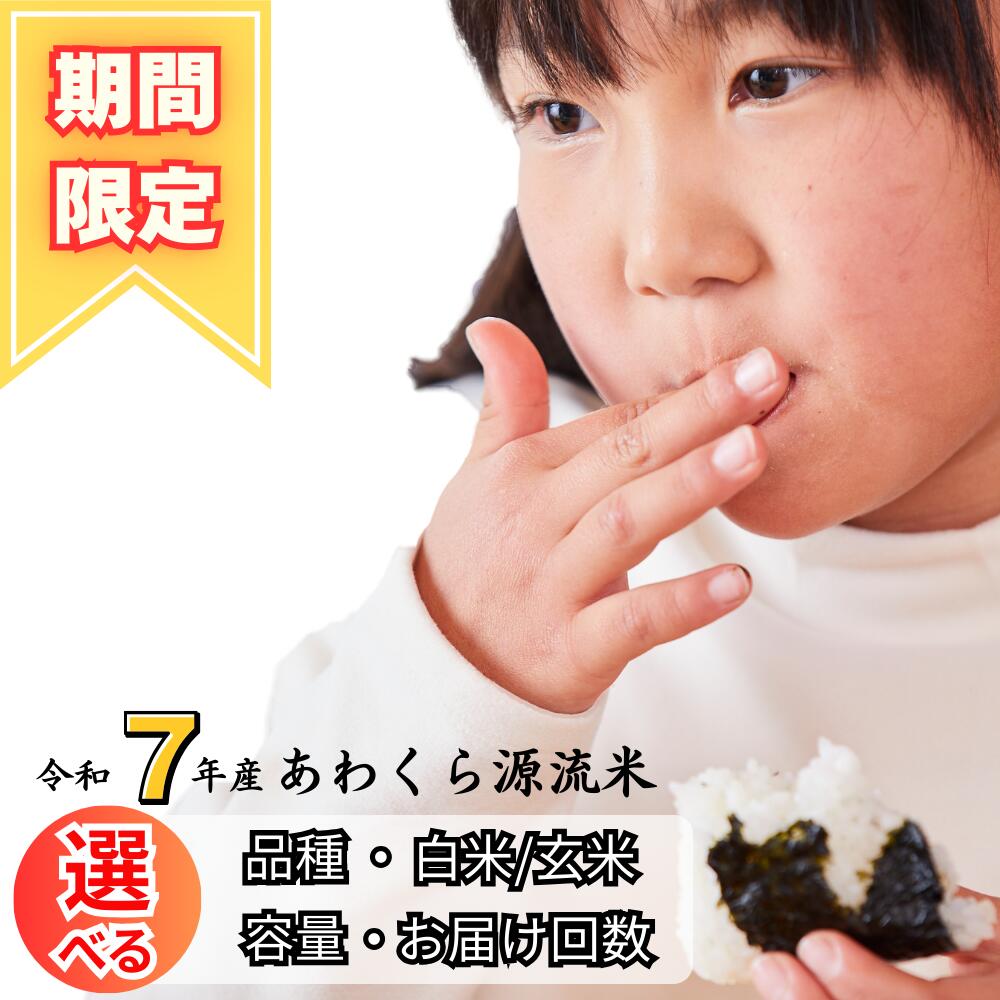 マザー&ラヴァーDVDBOX｜坂口憲二/篠原涼子/水川あさみ/松坂慶子