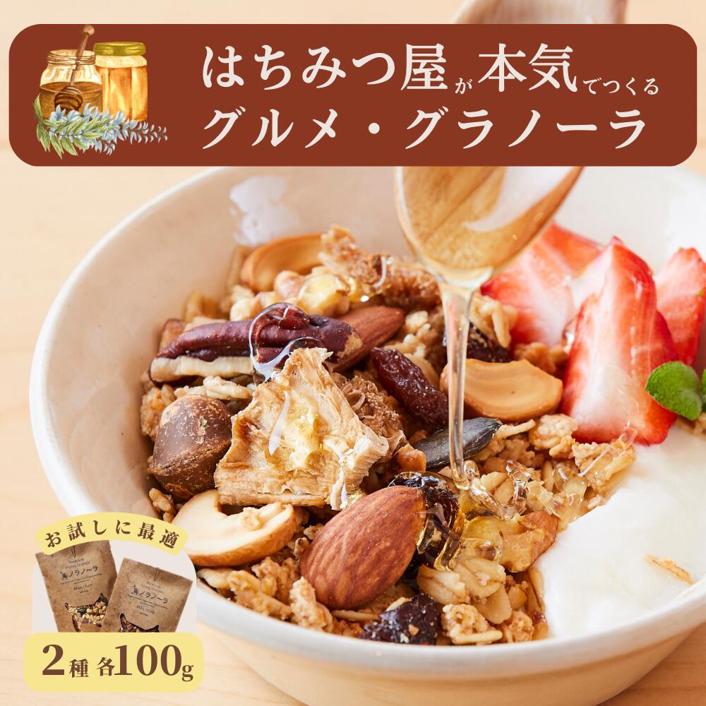 【ふるさと納税】グラノーラ 無添加  国産はちみつ使用【ノラノーラ ミケ&クロ】  ココナッツ・ショコラ 食べ比べセット(100g×2) A-MT-A05A