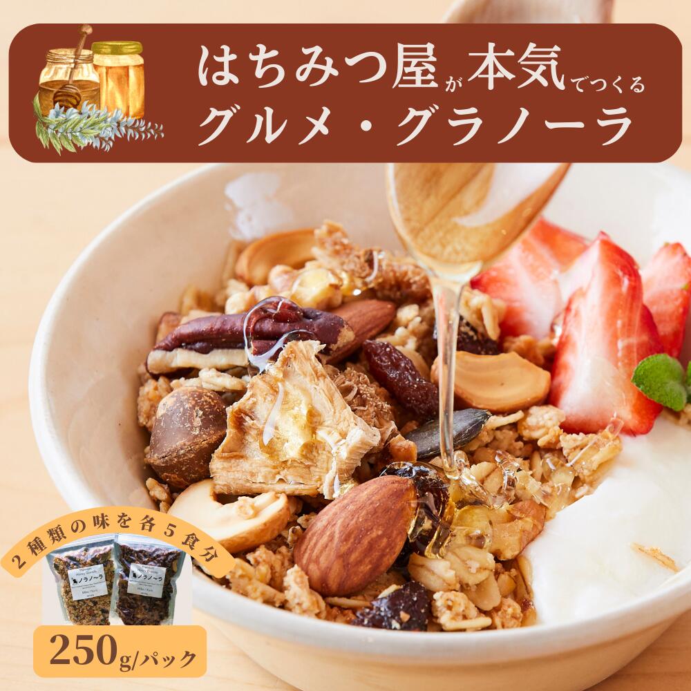 【ふるさと納税】グラノーラ 無添加 国産はちみつ使用 【ノラノーラ ミケ&クロ】ココナッツ・ショコラ 簡易包装 2個セット（250g×2)_A-MT-A17A