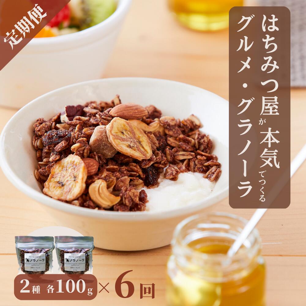 【ふるさと納税】【6回定期便】グラノーラ 無添加 国産はちみつ使用【ノラノーラ ミケ&クロ】ココナッツ・ショコラ（小）2袋セット（100g×2） A-MT-C01A