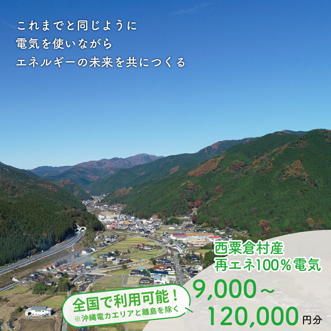 【ふるさと納税】電気料金 百森でんき 実質CO2フリー 地域電力 お礼の電気 脱炭素 ゼロカーボン 岡山県 西粟倉村 【まずは寄付のお申し込みを！】 e-vv-J01D