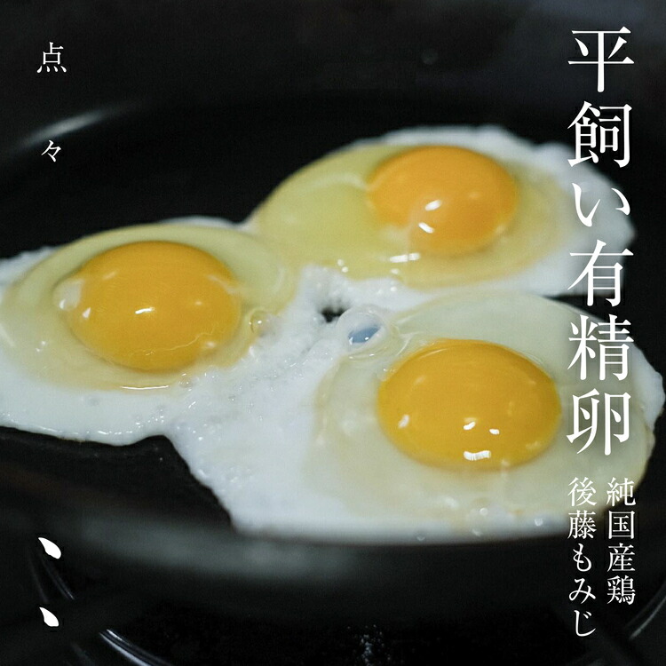 【ふるさと納税】平飼い有精卵 　個数と回数が選べる《西粟倉村》【株式会社点々】平飼い卵 20個 30個 40個 60個 定期便 3ヶ月 6ヶ月 12ヶ月 たまご 卵 鶏卵 玉子 生卵 平飼い 岡山 定期便 玉子焼 卵焼き 卵かけご飯 新鮮 濃厚 純国産 後藤もみじ