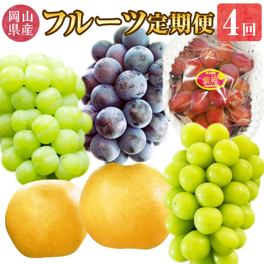 【ふるさと納税】【4回定期便】岡山県産 フルーツ 定期便 コース ニューピオーネ 瀬戸ジャイアンツ 晴王 紫苑 あたご梨 果物 ぶどう ピオーネ マスカット 梨 ナシ なし お取り寄せ デザート 旬 国産 送料無料【2026年9月上旬発送開始】｜岡山県美咲町
