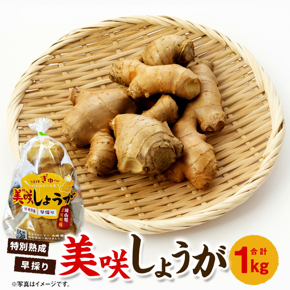 【ふるさと納税】美咲しょうが  約1kg 生姜 しょうが ジンジャー ガリ 薬味 国産 野菜 国産 岡山県 美咲町 送料無料