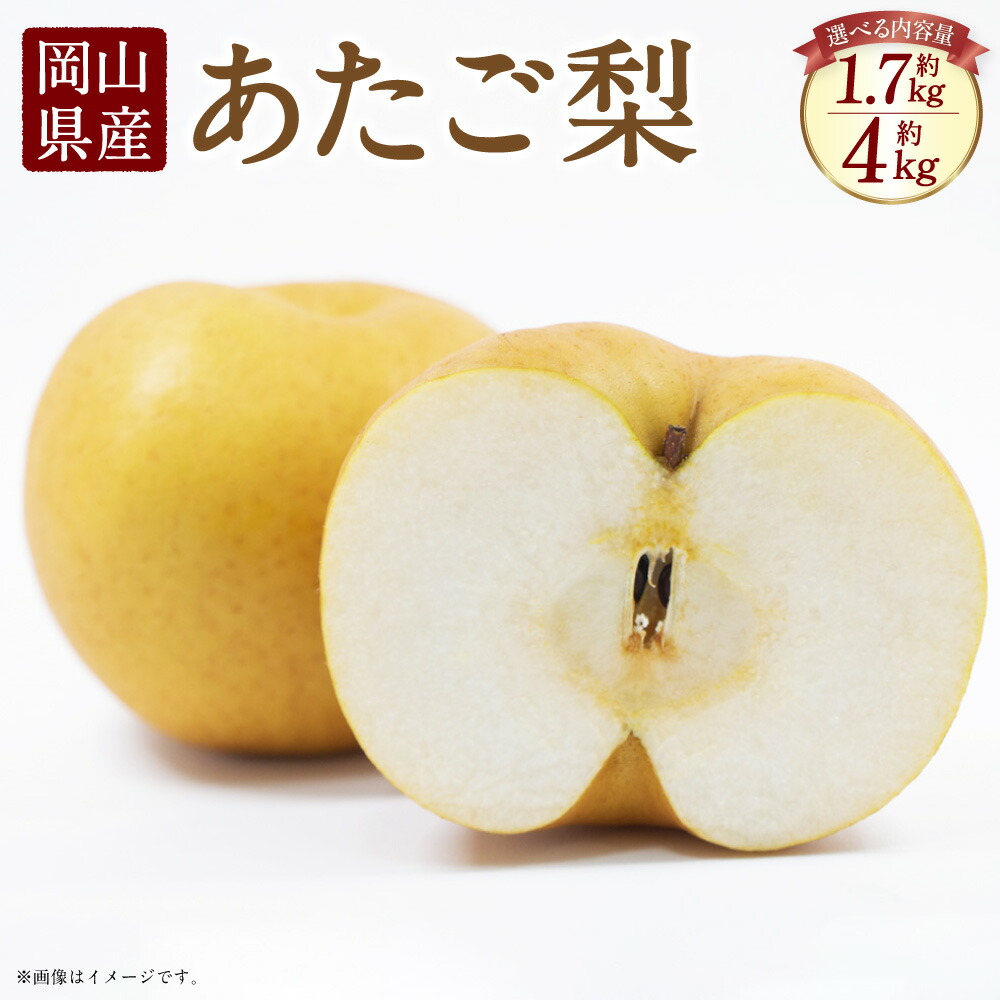 【ふるさと納税】岡山県産 あたご梨 化粧箱入り〈選べる〉 2玉（約1.7kg）または 3～6玉（約4kg） 梨 なし ナシ 和梨 旬 果物 フルーツ お取り寄せ デザート 詰め合わせ 送料無料【2025年11月下旬～12月下旬迄発送予定】