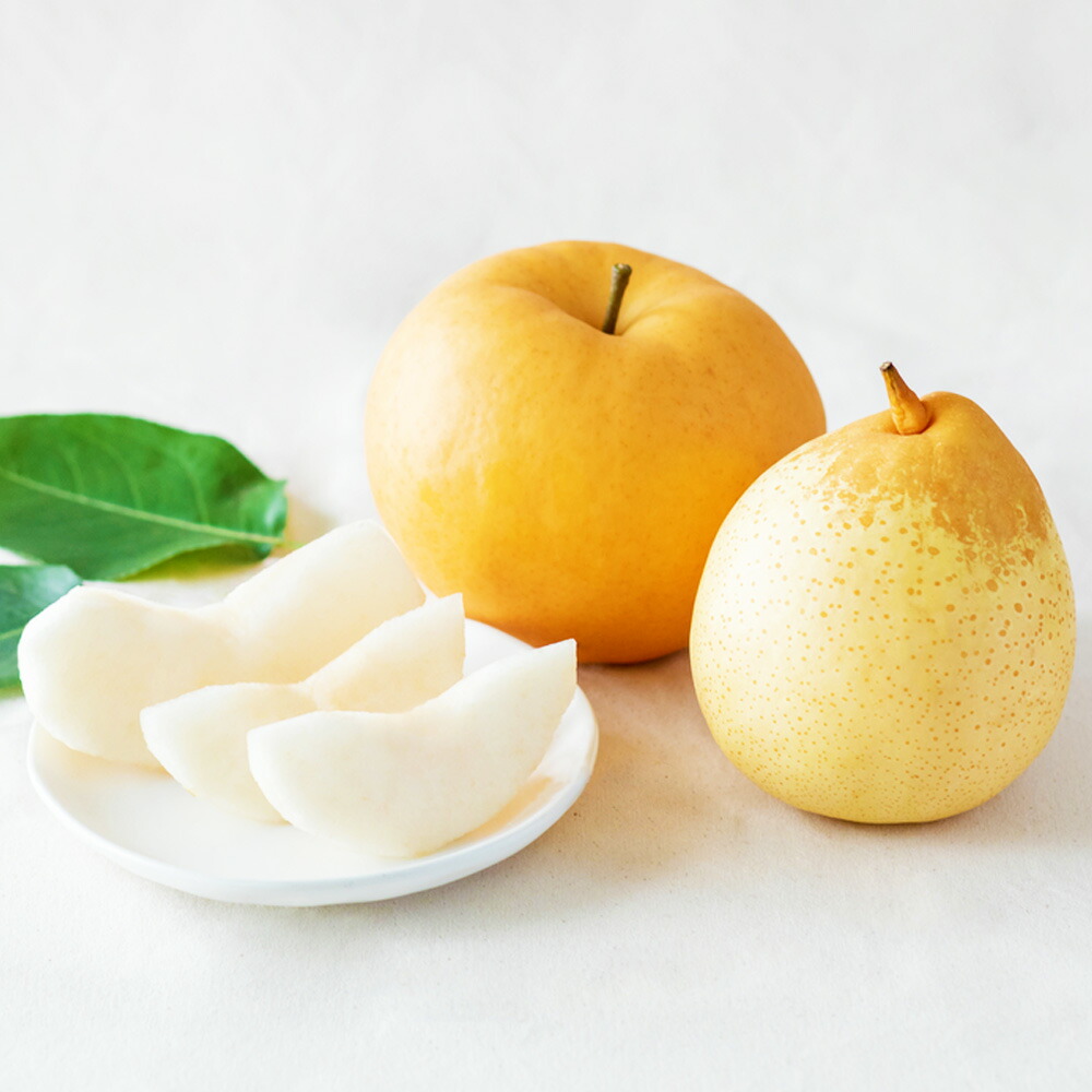 【ふるさと納税】あたご梨 鴨梨（ヤーリー） 詰合せ 贈答箱 〈選べる〉 合計 約2kg～4.5kg 梨 なし ナシ 和梨 愛宕梨 ヤーリー 旬 果物 フルーツ お取り寄せ デザート おやつ 選べる容量 詰め合わせ 食べ比べ セット ギフト 送料無料【2025年11月下旬-12月下旬発送予定】
