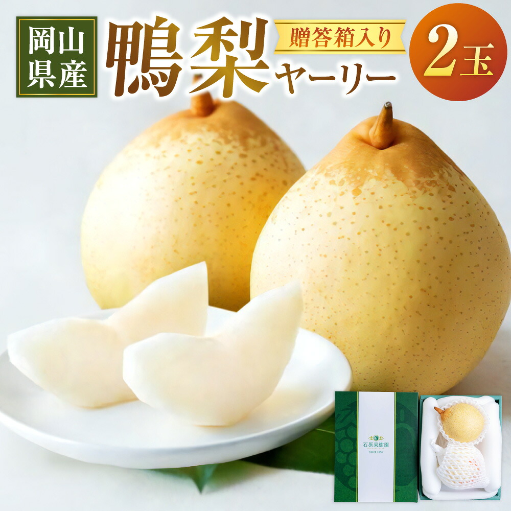 【ふるさと納税】鴨梨 ヤーリー 2玉 贈答箱 梨 なし ナシ フルーツ くだもの 果物 果実 岡山県産 岡山県 美咲町 送料無料 【2026年11月下旬～12月下旬発送予定】