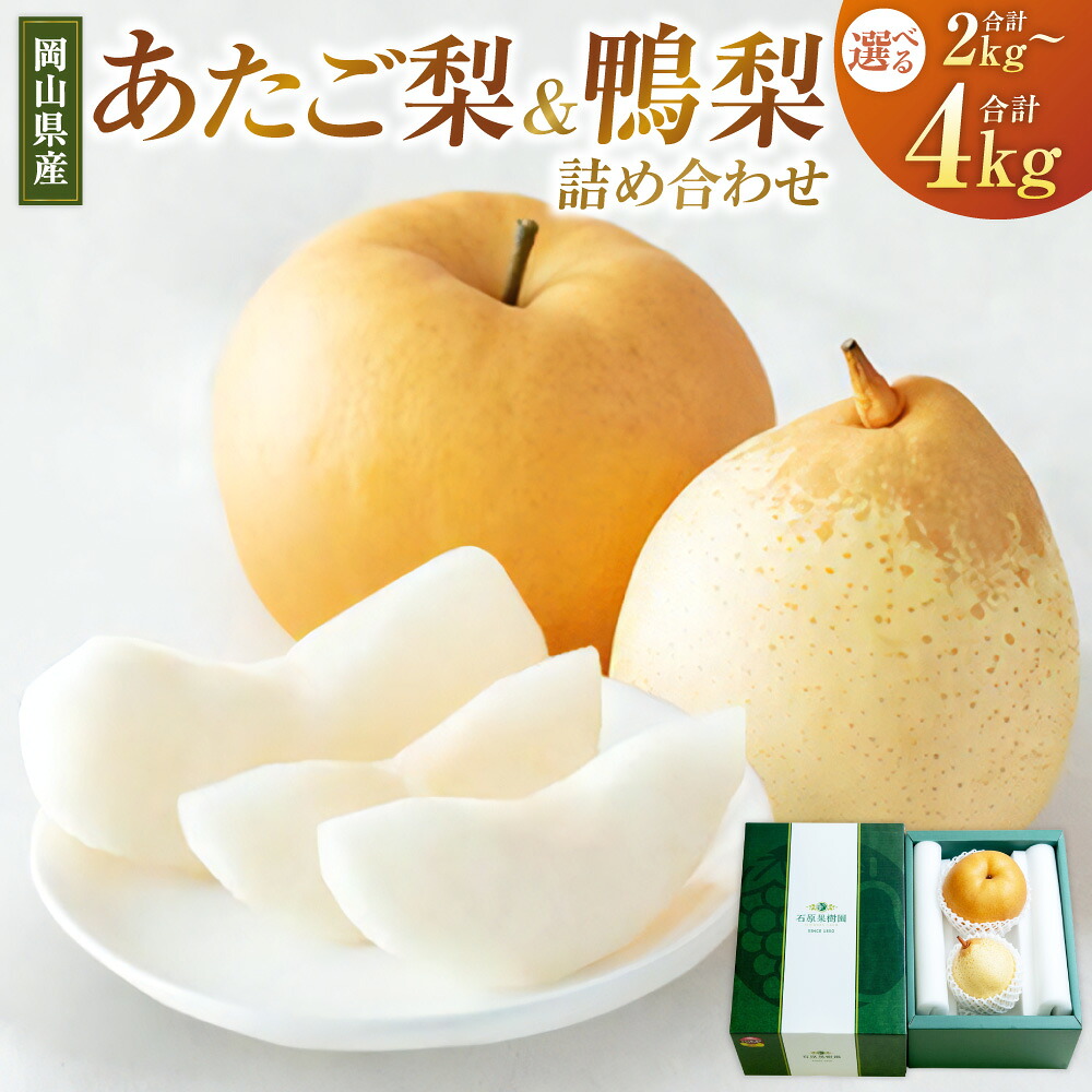 【ふるさと納税】あたご梨・鴨梨（ヤーリー）詰合せ セット 〈選べる〉 合計 約2kg（贈答箱）または 合計約4kg（化粧箱） 愛宕梨 なし ナシ フルーツ くだもの 果物 果実 岡山県産 岡山県 美咲町 送料無料 【2026年11月下旬～12月下旬発送予定】